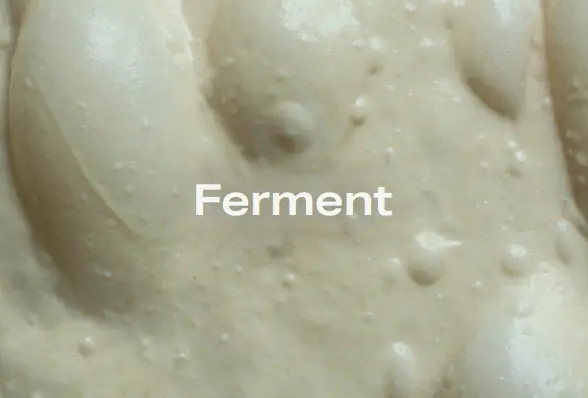 ge-profile-trattoria-pizza-oven-7