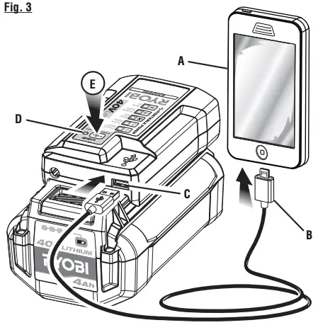 Illustrations Figure 3