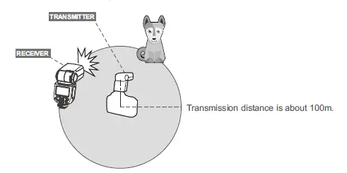 wireless flash shooting