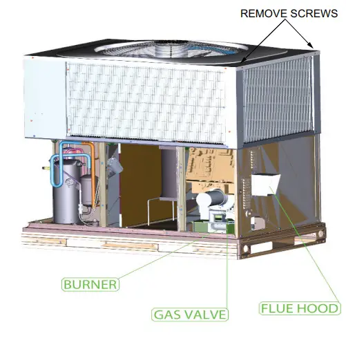 Carrier PGD4 14 SEER Single and Three Phase Single Packaged Air Conditioner 2