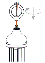 QUOIZEL-MAB5026LG-Mabel-5-Light-26-inch-Light-Gold-Chandelier-Ceiling-Light-FIG-7