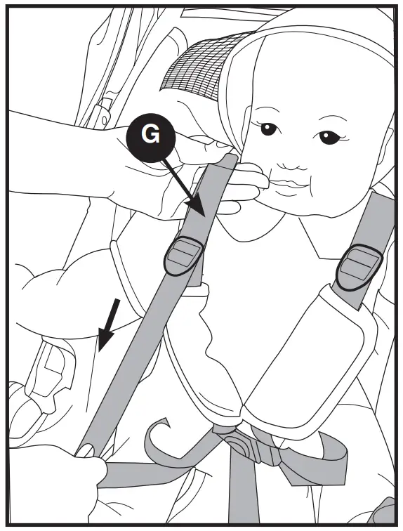 evenflo Omni Plus Modular Travel System with LiteMax Sport Rear - fig 16