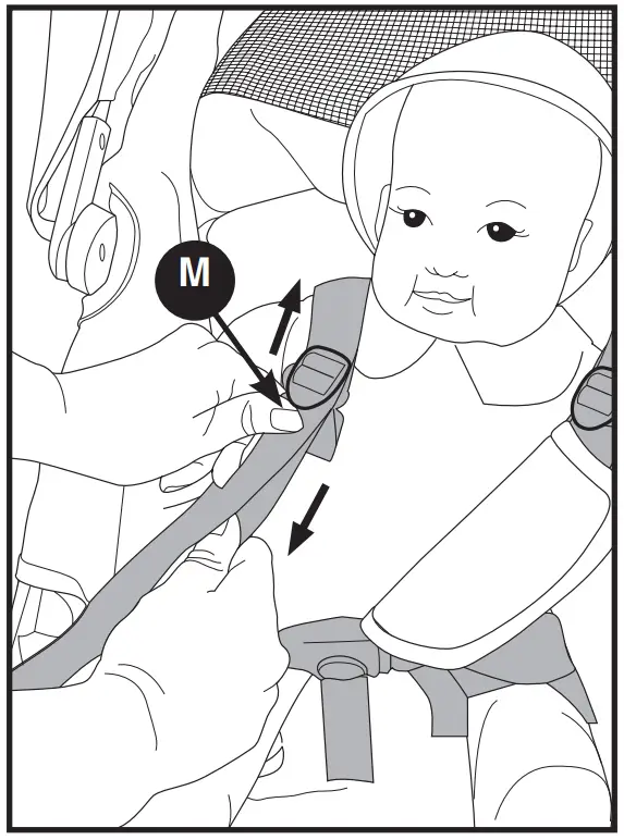 evenflo Omni Plus Modular Travel System with LiteMax Sport Rear - fig 17