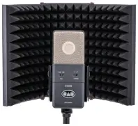 CAD E100Sx Large Diaphragm Condenser Microphone A11