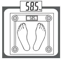 anko 43115785 Digital Bathroom Scales Instruction Manual - Gently step on the scale
