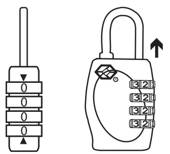 Assembly Instructions