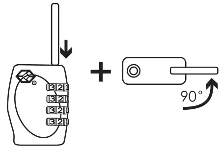 Assembly Instructions