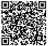 evonicfires E810DS Builtm In Electric Tunnel Fire - QR