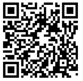 evonicfires E810DS Builtm In Electric Tunnel Fire - QR1