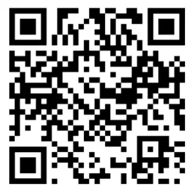 evonicfires E810DS Builtm In Electric Tunnel Fire - QR4