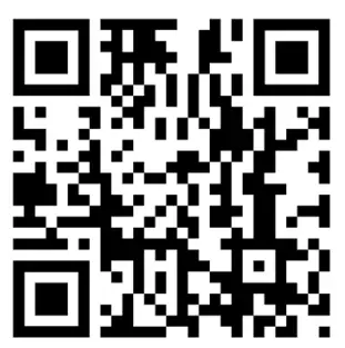 evonicfires E810DS Builtm In Electric Tunnel Fire - QR5