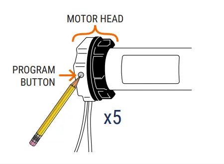 SelectBlinds-Lifestyle-Select-Luxe-Roman-Shades-24