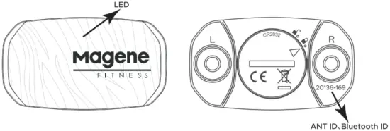 Wearing the Heart Rate Sensor