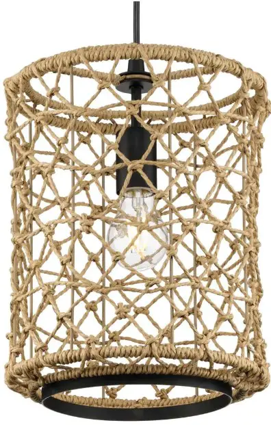 PROGRESS LIGHTING P500419 One-Light Matte Black Global Pendant