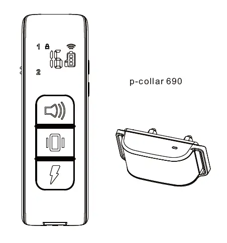 Training Collar for Dogs