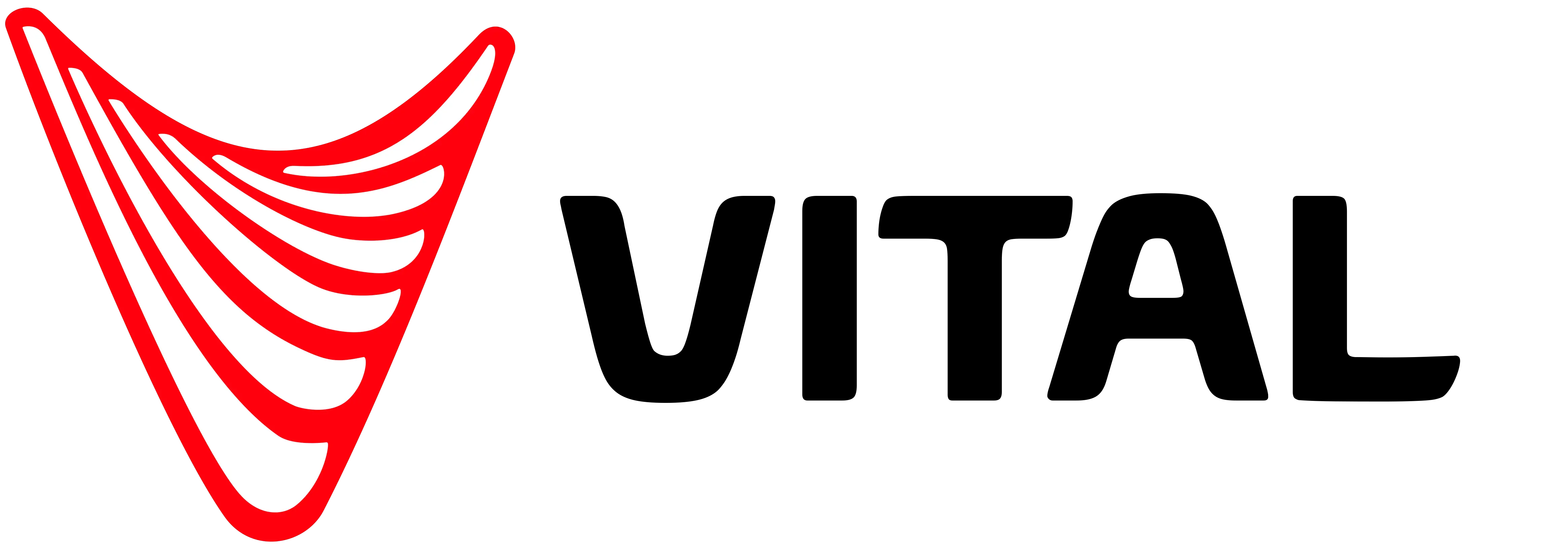 VITAL-04877-Massage-Mat-Chair-Logo