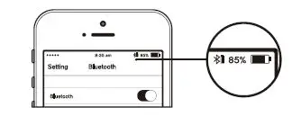 PHILIPS-TAT8505-TWS-Bluetooth-Headphones-fig13