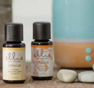 Ellia SOOTHE Manual ARM-310WT