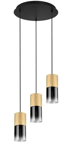 TRIO-310630354-ROBIN-Pendant-Lamp-prodact-img