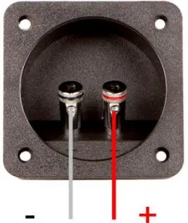 AUDIO SYSTEM R 12 FLAT G EVO 30cm Passive Subwoofer Box-fig2