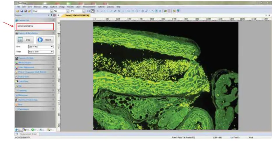 JorVet MKT-7.5.3-L-304.001 BioVID 4K Ultra HD Camera Instruction Manual - To begin capturing images, click on device