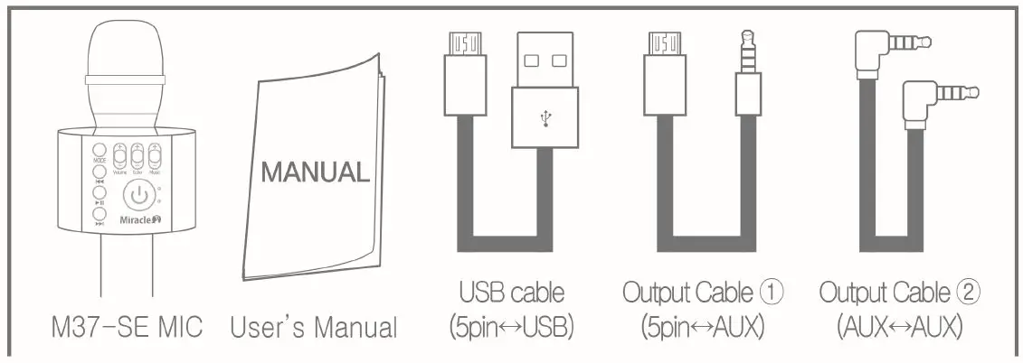 Doors Korea M37 Bluetooth Karaoke Mic 1