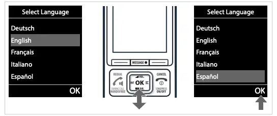 Setting the display language