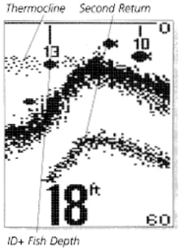 HUMMINBIRD 100 SX Fish Finder - second return