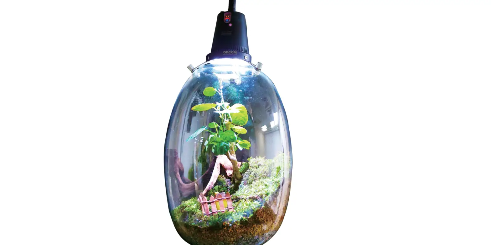 Opcom Ofg010 Refreshing Microgreen Landscape User Manual Opcom Ofg010 Refreshing Microgreen Landscape User Manual