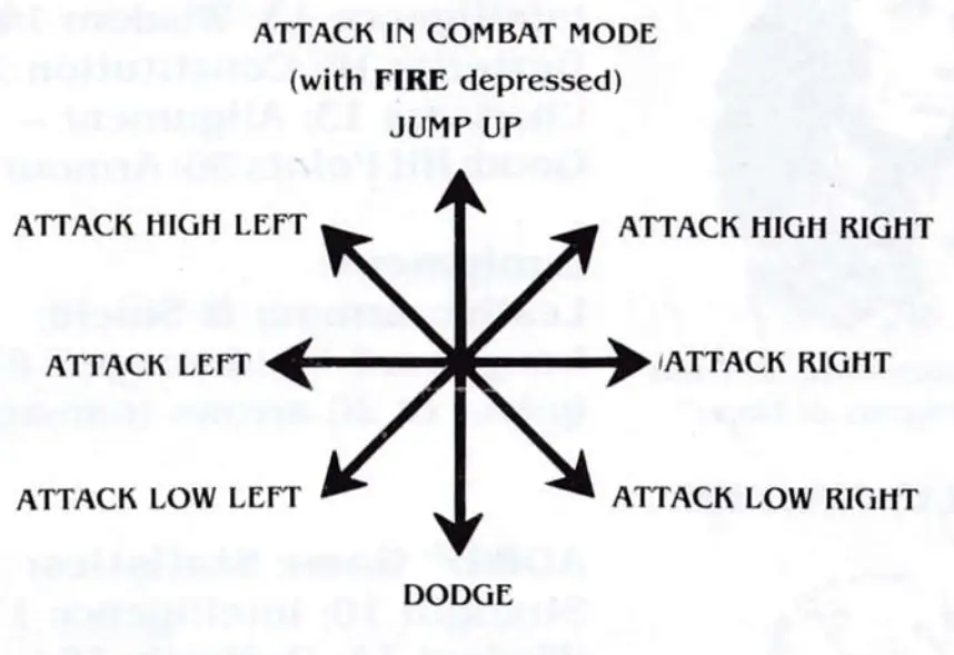 Dragons of Flame Amstrad CPC game- fig11