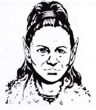 Dragons of Flame Amstrad CPC game- fig7