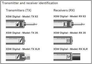 graphical user interface, application