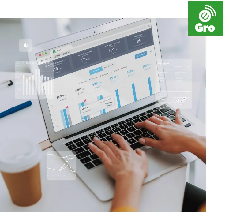 Grodan e Gro February Release 2022 - fig