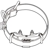 receiver/Collar
