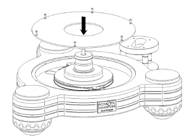 ACOUSTiC-SIGNATURE-Hurricane-NEO-Turntable-06