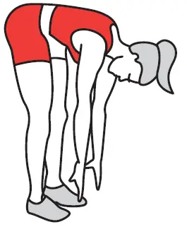 FITFIU-BELI-120-Elliptical-trainer-with-adjustable-saddle-fig-17