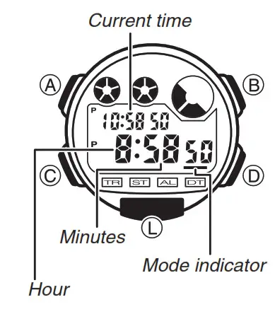 CASIO Watch 3416- Dual Time Mode