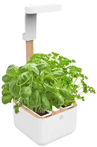 BOTANEO EYLO Autonomous and Compact Indoor Garden