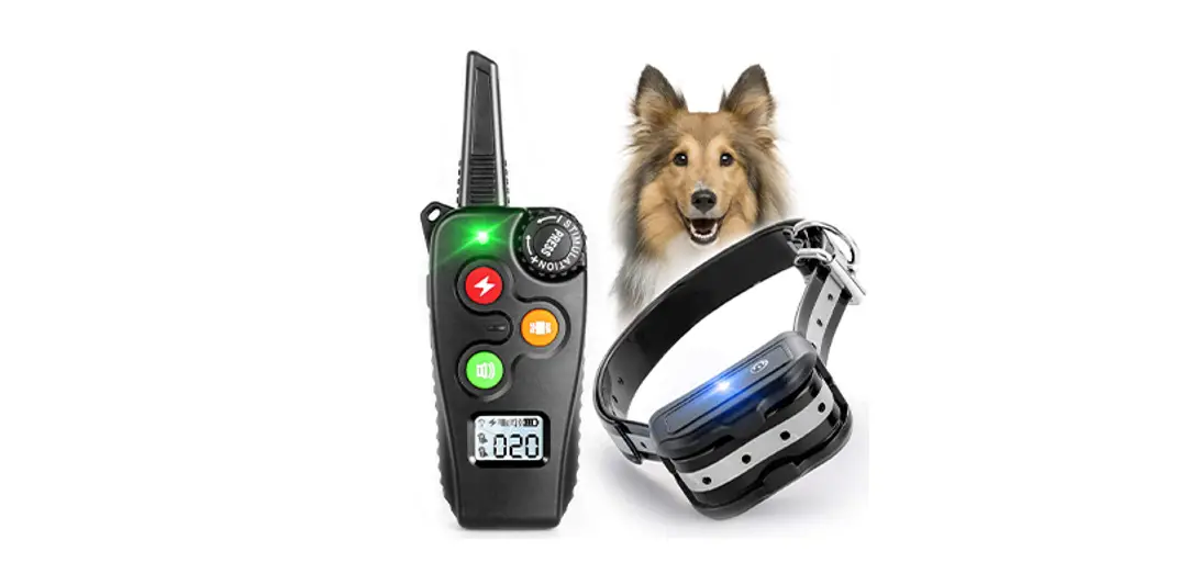 Shen Zhen O Rays Technology 818 Dog Training Collar User Manual Shen Zhen O Rays Technology 818 Dog Training Collar User Manual
