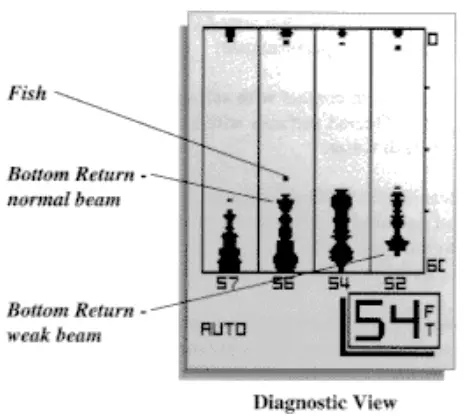 HUMMINBIRD LCR 3D Fish Finder - Diagnostic 1