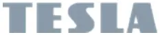 TESLA logo