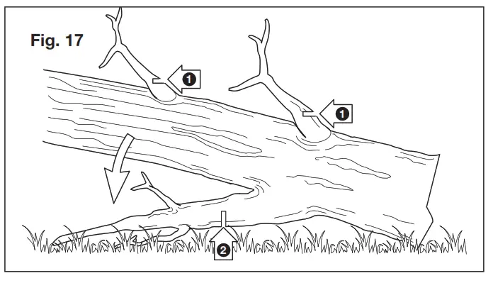 SUN JOE 24V X2 CS16 RM Cordless Chain Saw - fig31
