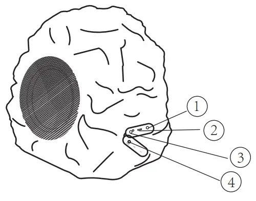 naxa NAS-4000 Bluetooth Speaker System - Fig 1