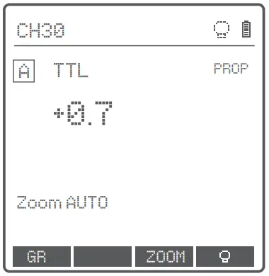 Flash Exposure Compensation Settings
