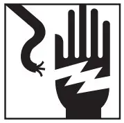 SIMPSON 1350411 Professional Pressure WasheWHAT CAN HAPPENr -