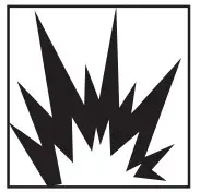 SIMPSON 1350411 Professional Pressure Washer -OF BUR