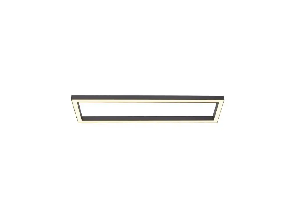 Paul Neuhaus 835794 Pure Lines Ceiling Light Instructions Paul Neuhaus 835794 Pure Lines Ceiling Light Instructions