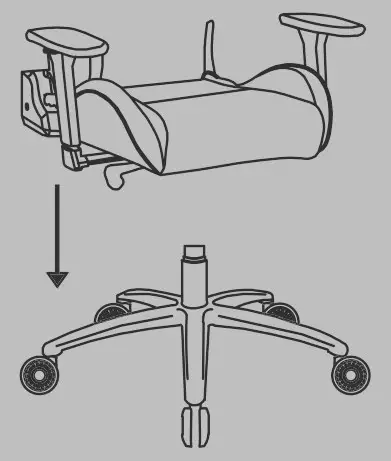 Assembly Instructiuon