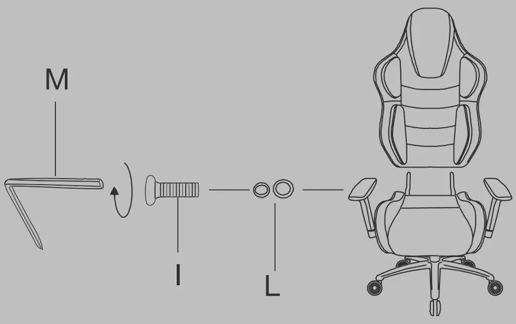 Assembly Instructiuon