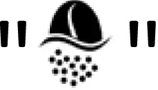 BORINE CM917A Coffee Maker 06